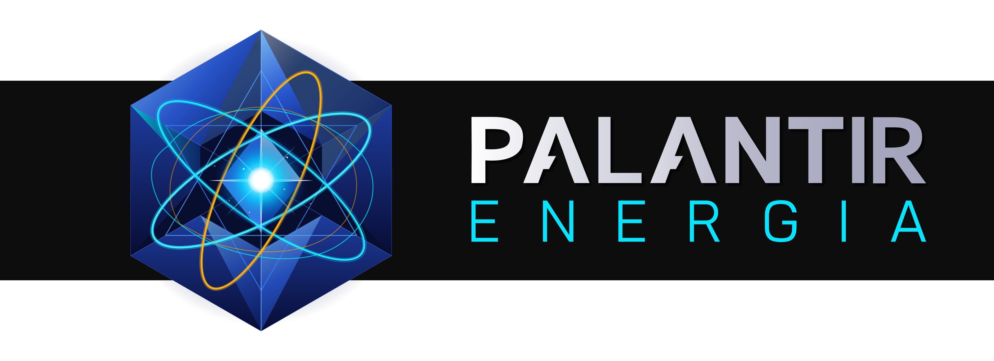 Palantir Energia